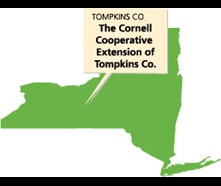 Tompkins CO, NY Center for Transformative Action